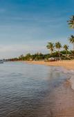 Туры в отель Brenta Phu Quoc Туры в отель Brenta Phu Quoc