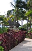 Туры в отель Oasis Cancun Lite Туры в отель Oasis Cancun Lite