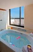 Туры в отель Holiday Inn Nice Туры в отель Holiday Inn Nice