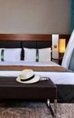 Туры в отель Holiday Inn Nice Туры в отель Holiday Inn Nice