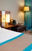 Туры в отель Holiday Inn Nice Туры в отель Holiday Inn Nice