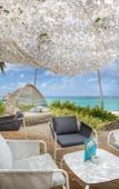 Туры в отель Catalonia Royal La Romana - Adults Only Туры в отель Catalonia Royal La Romana - Adults Only