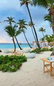Туры в отель Catalonia Royal La Romana - Adults Only Туры в отель Catalonia Royal La Romana - Adults Only
