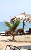 Туры в отель Villa Tangalle Lagoon Туры в отель Villa Tangalle Lagoon