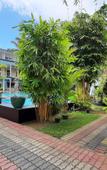 Туры в отель The Lodge Unawatuna Туры в отель The Lodge Unawatuna