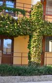 Туры в отель Guest House Milanka Туры в отель Guest House Milanka