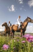 Туры в отель Altai Palace Гостиничный Комплекс Туры в отель Altai Palace Гостиничный Комплекс