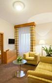 Туры в отель International Prague Туры в отель International Prague