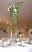 Туры в отель Albatroz Beach & Yacht Club Туры в отель Albatroz Beach & Yacht Club