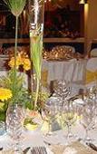 Туры в отель Albatroz Beach & Yacht Club Туры в отель Albatroz Beach & Yacht Club
