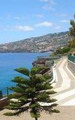 Туры в отель Albatroz Beach & Yacht Club Туры в отель Albatroz Beach & Yacht Club