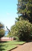 Туры в отель Albatroz Beach & Yacht Club Туры в отель Albatroz Beach & Yacht Club
