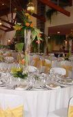Туры в отель Albatroz Beach & Yacht Club Туры в отель Albatroz Beach & Yacht Club
