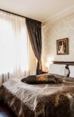 Туры в отель Plaza Hotel Туры в отель Plaza Hotel