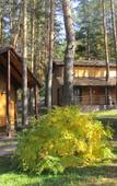 Туры в отель Крутики Туры в отель Крутики