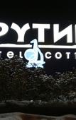 Туры в отель Крутики Туры в отель Крутики