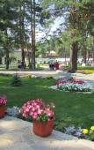 Туры в отель Крутики Туры в отель Крутики