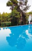 Туры в отель Avatel Eco Lodge Туры в отель Avatel Eco Lodge