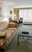 Туры в отель Crowne Plaza Orlando Downtown Туры в отель Crowne Plaza Orlando Downtown
