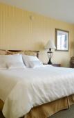 Туры в отель Crowne Plaza Orlando Downtown Туры в отель Crowne Plaza Orlando Downtown