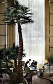 Туры в отель V- Continent Beijing Parkview Wuzhou Туры в отель V- Continent Beijing Parkview Wuzhou