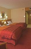 Туры в отель Crowne Plaza Resort Petra Туры в отель Crowne Plaza Resort Petra