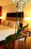 Туры в отель Crowne Plaza Vilamoura Туры в отель Crowne Plaza Vilamoura