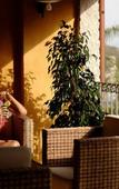 Туры в отель Cruccuris Resort Туры в отель Cruccuris Resort