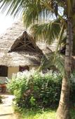 Туры в отель Baraka Beach Bungalows Туры в отель Baraka Beach Bungalows