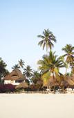 Туры в отель Blu Marlin Zanzibar Туры в отель Blu Marlin Zanzibar