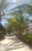 Туры в отель Queen of Sheba Beach Hotel Туры в отель Queen of Sheba Beach Hotel