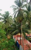 Туры в отель White House Beach Apartments Туры в отель White House Beach Apartments