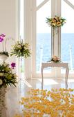 Туры в отель Katamaran Resort Туры в отель Katamaran Resort