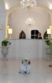 Туры в отель Minori Palace Туры в отель Minori Palace