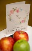 Туры в отель Hotel Caravita Туры в отель Hotel Caravita