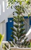 Туры в отель Isabella Resort Туры в отель Isabella Resort