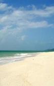 Туры в отель D`Coconut Island Resort Туры в отель D`Coconut Island Resort