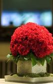 Туры в отель D`Angleterre Туры в отель D`Angleterre