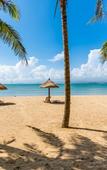 Туры в отель Fineland Begonia Holiday Apartment Туры в отель Fineland Begonia Holiday Apartment