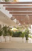 Туры в отель BloomSuites Туры в отель BloomSuites
