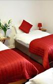 Туры в отель Maple Hotel Туры в отель Maple Hotel