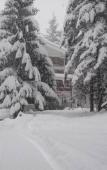 Туры в отель Tofana Hotel Туры в отель Tofana Hotel