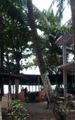 Туры в отель Arambol Residensea Туры в отель Arambol Residensea
