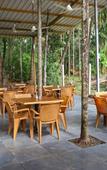 Туры в отель Arambol Paradise Village Resort Туры в отель Arambol Paradise Village Resort