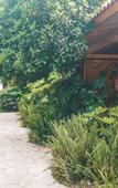 Туры в отель Kimera Lounge Туры в отель Kimera Lounge