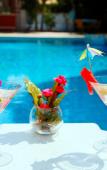 Туры в отель Hotel XO Alanya Туры в отель Hotel XO Alanya