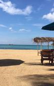 Туры в отель Joe`s Resorts Unawatuna Туры в отель Joe`s Resorts Unawatuna