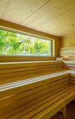 Туры в отель Andaz Mayakoba Resort Riviera Maya Туры в отель Andaz Mayakoba Resort Riviera Maya