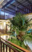Туры в отель Vesna Hotel Туры в отель Vesna Hotel