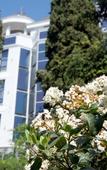 Туры в отель Усадьба Приморский парк Туры в отель Усадьба Приморский парк